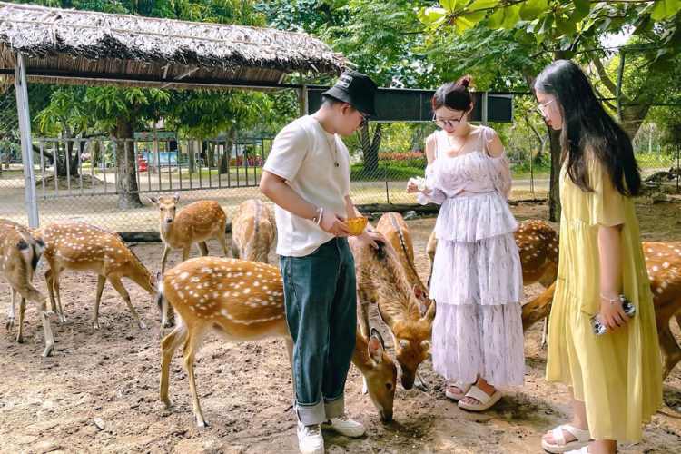 khu du lịch đảo khỉ suối hoa lan