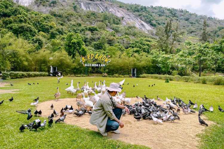 Suối Hoa Lan Nha Trang