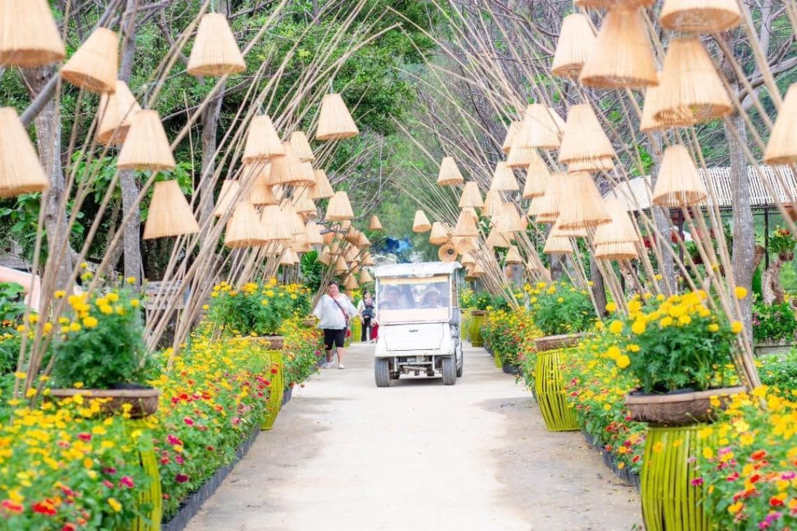 đảo khỉ suối hoa lan