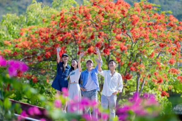 đảo khỉ suối hoa lan