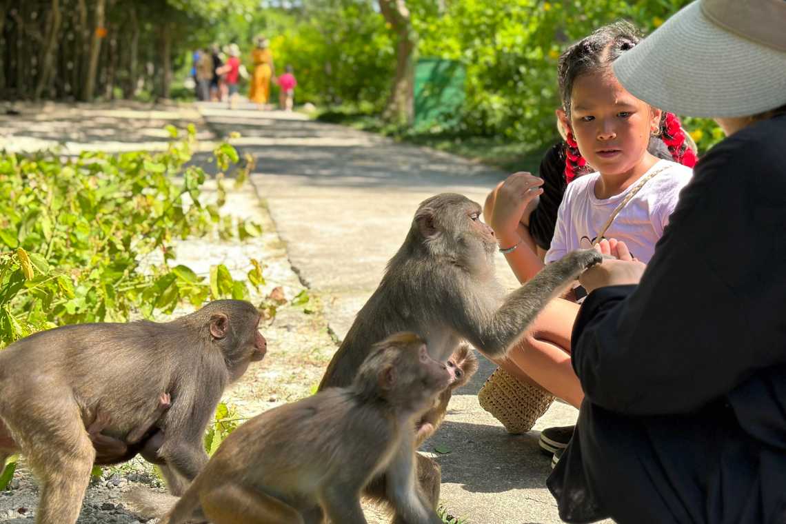 Giá vé suối Hoa Lan Nha Trang và đảo Khỉ