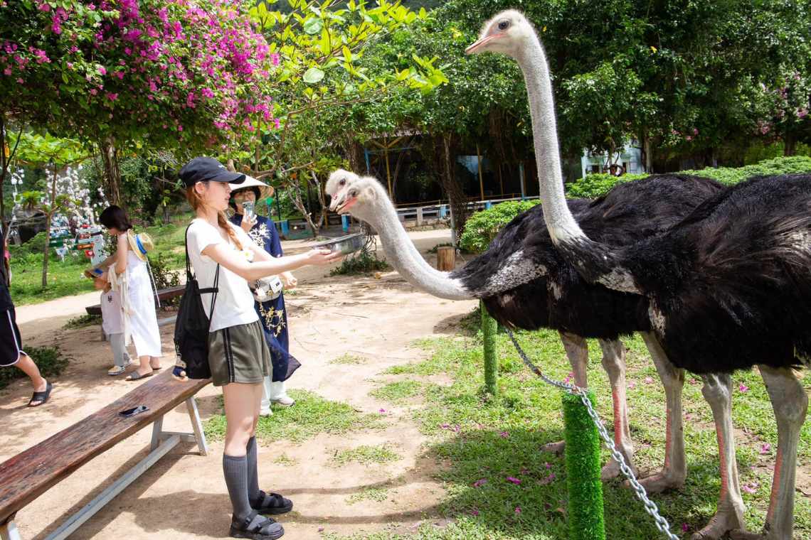 Giá vé suối Hoa Lan Nha Trang và đảo Khỉ